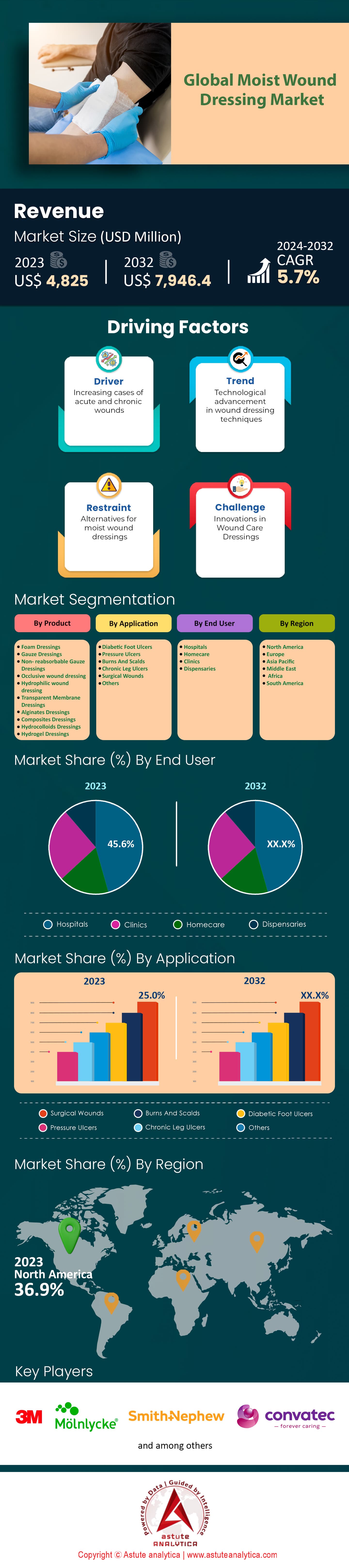 촉촉한 상처 드레싱 시장